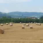Cascina Longoria