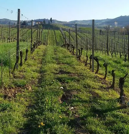 Cascina Longoria Alojamento de Turismo Rural