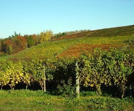 Cascina Longoria * Neive