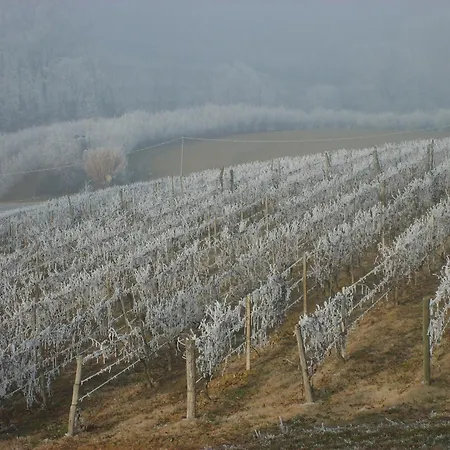 Vakantieboerderij Cascina Longoria Neive