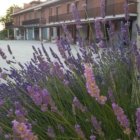Alloggio per agriturismo Cascina Longoria Neive