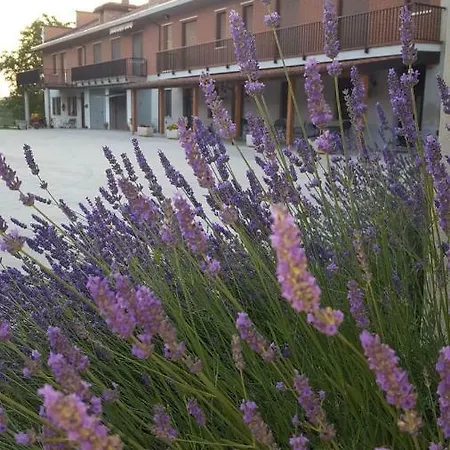 Farma Cascina Longoria Neive
