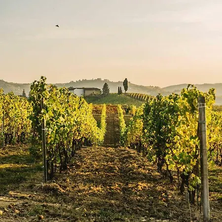 Cascina Longoria 农家乐